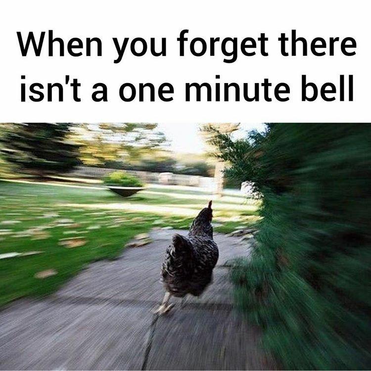 One+Minute+Bell