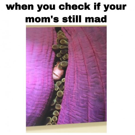 Mom Problems