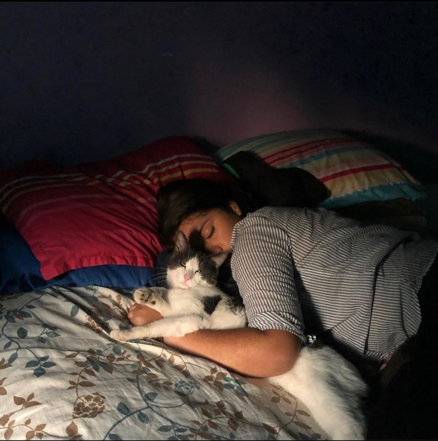 Jarelly Diaz is grateful for having a pet that brings her calm