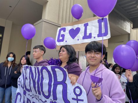 Many clubs on campus marched at the Women's March such as GOLD and the Senior Class Cabinet.