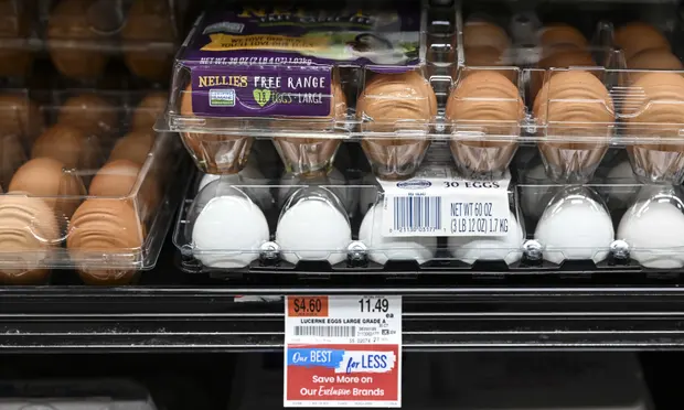 En California, los precios de huevos siguen siendo los más altos en los E.E.U. (Cred. The Guardian)