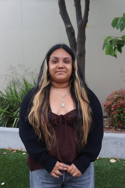 Evelyn Torres Vasquez