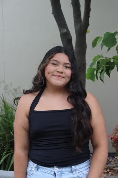 Azeneth Ibarra