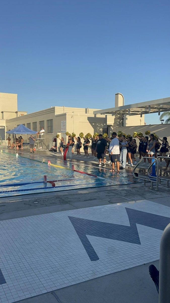 Football Vs Water Polo Game