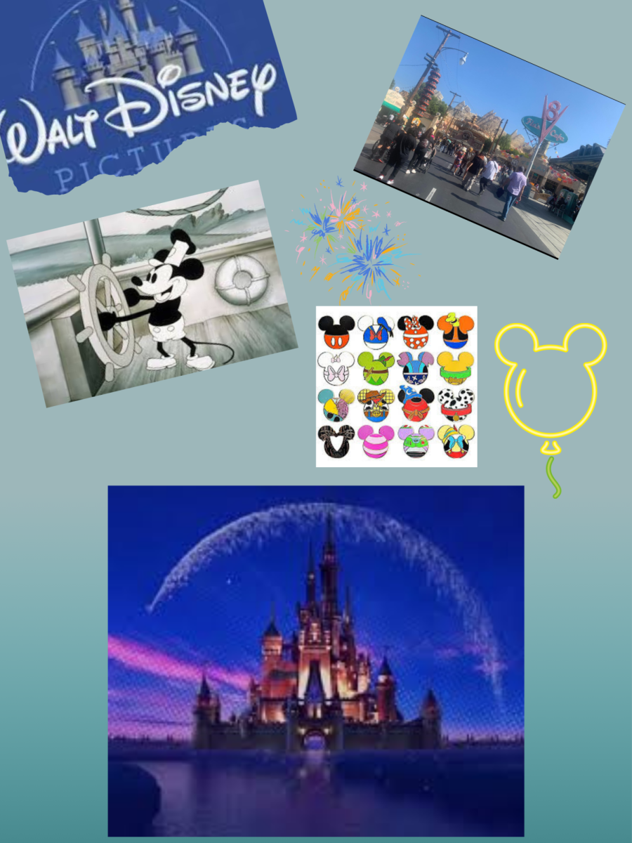 Todo sobre Disneyland