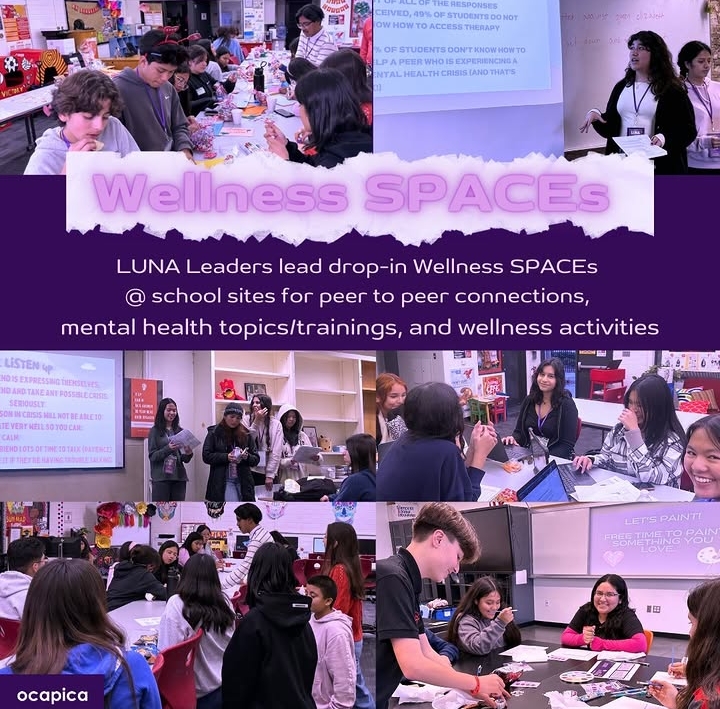 Luna Wellness Spaces