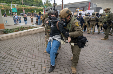 Immigration in Anaheim During January