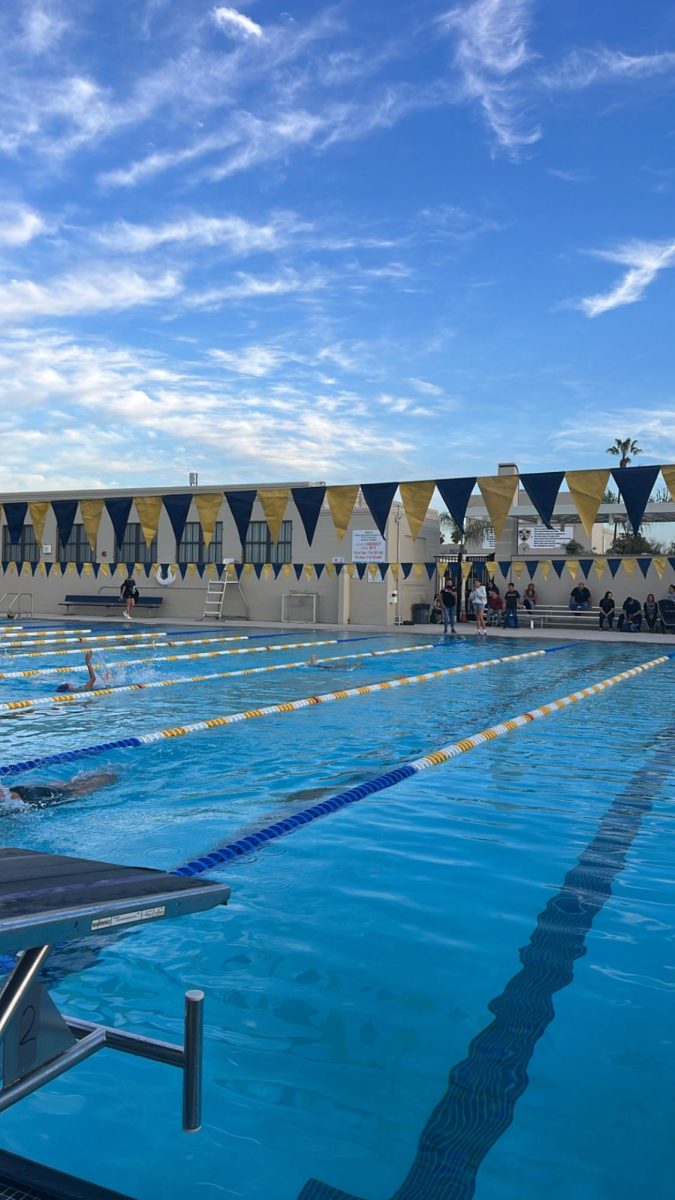 Swim Season Starts 2025-2026
