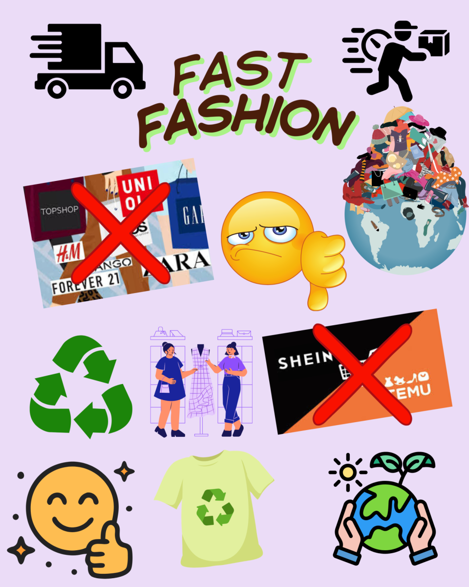 Fast Fashion