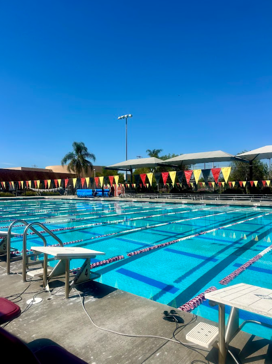 Segerstrom Pool Deck