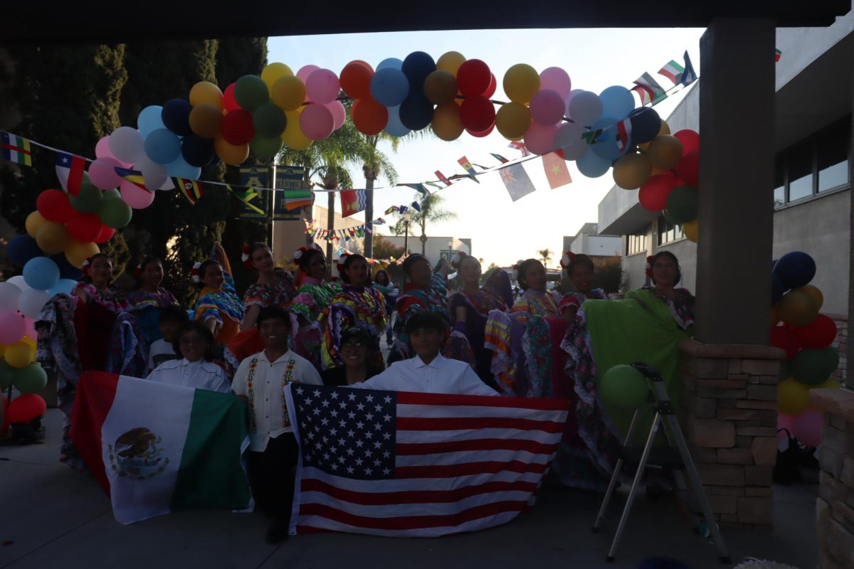 International Night